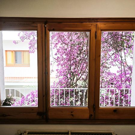 Vilamaniscle El Penell Apartament Llevant מראה חיצוני תמונה