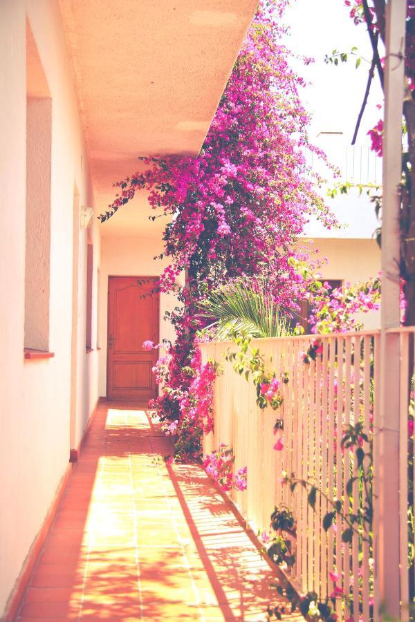 Vilamaniscle El Penell Apartament Llevant מראה חיצוני תמונה